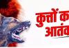बालोद में डॉग बाइट के मामले तेजी से बढ़े, 24 घंटे में 16 नए केस, 14 दिनों में 47 लोग शिकार, ग्रामीणों में दहशत