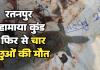 रतनपुर महामाया मंदिर कुंड में फिर हुई कछुओं की मौत प्रशासन की लापरवाही से बेजुबानों ने तोड़ा दम