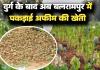 दुर्ग के बाद अब बलरामपुर में अफीम की खेती का खुलासा, 5 एकड़ में लहलहा रही थी नशीली फसल