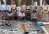 Tiger Poaching Case: 3 साल के युवा बाघ की दर्दनाक मौत, सिस्टम पर उठे सवाल, वन अधिकारी निकला शिकारी गिरोह का सदस्य, 9 आरोपी गिरफ्तार