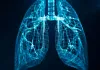 Lungs Health: कमजोर लंग्स को कैसे करें मजबूत? एक्सपर्ट से जानें