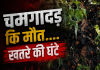 प्रकृति का रेड अलर्ट बेजुबानों की मौत से नहीं जागी सरकार तो अगला नंबर इंसानों का होगा