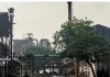 शराब, सिंडिकेट और 'सिस्टम' का सरेंडर: 'वेलकम डिस्टलरी' का जहरीला खेल, फ्री की दारू और कमीशन के कॉकटेल से मूक हुए ग्रामीण-नेता, जंगल में बिछ रही जानवरों की लाशें