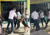 लखनऊ में बिजली चोरी पकड़ने गई टीम पर हमला, JE को पीटा, पालतू कुत्तों से भी कराया हमला