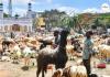 Eid-Ul-Adha 2026: केरल सरकार का बड़ा ऐलान, बकरीद पर लगातार दो दिन की छुट्टी; बंगाल ने भी बदली अवकाश तारीख