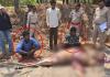  Wildlife Crime in Mahasamund: मादा नीलगाय का शिकार, पकाने की तैयारी में थे आरोपी, वन विभाग की दबिश, 2 गिरफ्तार