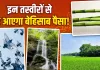 Vastu Tips For Wealth: 7 घोड़ों के अलावा ये तस्वीरें भी हैं मनी मैग्नेट, घर में लगाते ही खिंचा चला आएगा पैसा!