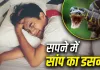 Swapna Shastra: सपने में सांप का डसना देता है ये बड़ा संकेत, जानें शुभ है या अशुभ