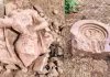खेत की मेढ़ खोदते ही निकला इतिहास! महासमुंद के बम्हनी में मिलीं 8वीं शताब्दी की प्राचीन मूर्तियां, मंदिर के अवशेष मिलने के संकेत