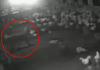 धमतरी में पोल्ट्री फार्म पर तेंदुए का हमला, 10 मुर्गियों का किया शिकार, CCTV में कैद हुई पूरी घटना