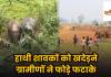CG News: हाथियों को खदेड़ने के नाम पर लापरवाही! शावकों पर फटाखे और पत्थर बरसाने का VIDEO वायरल, ग्रामीणों की हरकत से बढ़ा बड़ा खतरा