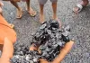 Surguja Road Construction: बनते ही उखड़ गई सड़क! जन-मन योजना के काम पर ग्रामीणों ने खोली पोल, हाथों से निकाली परत, देखे वीडियो... 