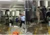 सूरत में दर्दनाक हादसा! ज्वेलरी फैक्ट्री के टैंक में उतरे 4 मजदूरों की दम घुटने से मौत, सेफ्टी नियमों पर उठे सवाल