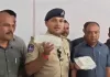 नकली पनीर का काला कारोबार बेनकाब: 825 किलो नकली पनीर जब्त, 45 दुकानों पर छापों से खुली खाद्य सुरक्षा व्यवस्था की पोल