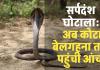 सर्पदंश मुआवजा घोटाला: मृतक कमलेश और रोहन के नाम पर फर्जीवाड़ा, जांच में कोटा-बेलगहना के दलालों के नाम आए सामने