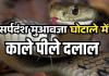 सर्पदंश मुआवजा घोटाला: काले-पीले दलालों की भूमिका अहम, कोटा की बजाय रतनपुर में हुए फर्जी पोस्टमार्टम ....