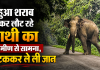 महुआ शराब पीकर लौट रहे हाथी का ग्रामीण से सामना, पटककर ले ली जान 