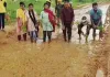 Korea News: सड़क नहीं, बना धान का खेत! अधूरे निर्माण से नाराज ग्रामीणों ने कीचड़ में की धान रोपाई, प्रशासन से लगाई गुहार
