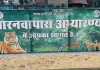 मानसून में बंद हुआ बारनवापारा अभयारण्य, अब बफर जोन में मिलेगा नेचर टूरिज्म का नया अनुभव; विकसित किए गए विशेष पर्यटन स्थल