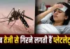 डेंगू में प्लेटलेट्स कब घटने लगती हैं? जानिए कब बढ़ता है खतरा और किन लक्षणों को न करें नजरअंदाज
