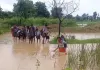बारिश में बंद हुआ रास्ता, किसान ने संभाली जिम्मेदारी; कंधे पर बैठाकर स्कूल पहुंचा रहा बच्चों को, देखे वीडियो 