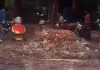 नगर पालिका की बड़ी लापरवाही? नाली निर्माण के बीच कीचड़ में पड़ी रही डॉ. श्यामा प्रसाद मुखर्जी की प्रतिमा, कार्यशैली पर उठे सवाल