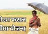 फसल बीमा का उलझा गणित: प्रीमियम भरने के बाद भी 'औसत' की भेंट चढ़ रहा मुआवजा, दो साल में 73 लाख किसानों ने किया किनारा