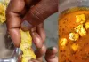 थाली में पहुंचने से पहले खुल गई पोल! 75 स्कूलों के मिड-डे मील में मिले कीड़े, खाना रुका तो भूखे रह गए बच्चे