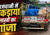 Raipur News: 191 किलो गांजा, ट्रक और दो तस्कर… रायपुर पुलिस ने तस्करी के बड़े नेटवर्क पर कसा शिकंजा