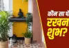 South West Direction: घर की दक्षिण-पश्चिम दिशा में कौन सा पौधा रखना माना जाता है शुभ? जानें नैऋत्य कोण से जुड़े वास्तु नियम