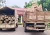 Balod News: सरपंच पति के ठिकाने पर वन विभाग की बड़ी रेड, सागौन-खम्हार की लकड़ी, फर्नीचर और मेटाडोर जब्त; जांच तेज