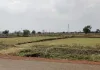 100 का प्रावधान, 345 आबादी पट्टे बांटने का दावा! आरंग की दरबा पंचायत में उठे सवाल, कलेक्टर से जांच की मांग
