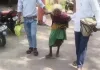 90 साल की बुजुर्ग पर जुल्म का आरोप! गर्म पानी डालने से झुलसी पीठ, आंख के ऊपर चोट; जख्म लेकर इंसाफ की गुहार लगाने पहुंची जनपद