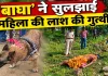 एक गंध, 500 मीटर का पीछा और फिर खुला राज… ‘बाघा’ ने पुलिस को पहुंचाया आरोपी के घर