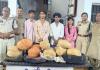 ओडिशा से सस्ते दाम में खरीदकर मटियारी क्षेत्र में खपाने की थी तैयारी, 13 किलो गांजा सहित 4 आरोपी गिरफ्तार