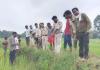 बस्तर में फिर ‘टाइगर अलर्ट’! गांव के करीब पहुंचा बाघ, मुनादी से सहमे ग्रामीण, वन विभाग ने संभाला मोर्चा