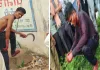 Balod News: दूसरे गांव पहुंचकर युवक ने हंसिए से काटी अपनी गर्दन, खून से लथपथ सड़क पर घूमता रहा; परिजनों ने बताई चौंकाने वाली बात
