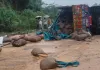 Balod Road Accident: मरकाटोला घाट में मौत का टक्कर, गेहूं लदे ट्रक ने डीजे वाहन को घसीटा; कई लोगों की गई जान 