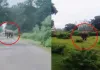 मरवाही में हाथियों की आहट से ग्रामीण सतर्क, 7 जगह फसलों को नुकसान… वन विभाग ने बढ़ाई निगरानी
