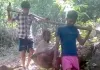 Aamcho Bastar: न सड़क, न एंबुलेंस! बीमार महिला को कांवड़ में अस्पताल ले जाने को मजबूर ग्रामीण, विकास के दावों पर सवाल