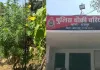 खेत में फसल की आड़ में उगा रहा था गांजा! पटवारी की सूचना पर पुलिस की दबिश, 112 पौधे जब्त; आरोपी गिरफ्तार
