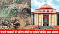 छत्तीसगढ़ हाईकोर्ट ने जंगली जानवरों की संदिग्ध मौतों पर जताई गंभीरता, PCCF से मांगा हलफनामा 