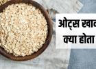 डॉक्टर ओट्स को क्यों मानते हैं परफेक्ट ब्रेकफास्ट? जानिए इसके 5 बड़े फायदे