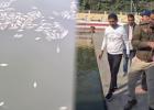 CG News: तालाब में मछलियों की अचानक मौत, ऑक्सीजन की कमी या फंगस ने दी खतरे की घंटी, बचाव अभियान जारी