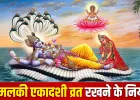 Amalaki Ekadashi 2026: क्या आमलकी एकादशी का व्रत रखने से पितृ दोष शांत होता है? जानें क्या कहते हैं शास्त्र