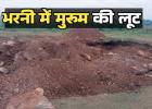 भरनी में मुरुम लूट , पेड़ों की कटाई पर वन विभाग का एक्शन मगर खनिज महकमा  अब भी मौन