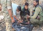 Mohla-Manpur Operation: सर्च ऑपरेशन के दौरान जंगल में मिला AK-47 का जखीरा, नक्सलियों की बड़ी साजिश नाकाम