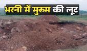 भरनी में मुरुम लूट , पेड़ों की कटाई पर वन विभाग का एक्शन मगर खनिज महकमा  अब भी मौन