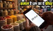 UPI में आया सबसे काम का फीचर, PIN भूल गए तो भी हो जाएगी पेमेंट, जानें तरीका