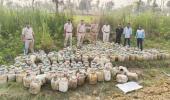 Bilaspur Crime News: अवैध शराब के खिलाफ पुलिस की बड़ी कार्रवाई, झाड़ियों में छिपा 6000 किलो महुआ लाहन जब्त